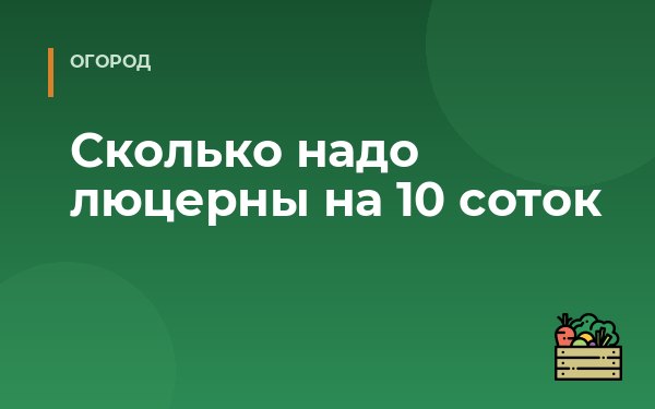 Сколько надо люцерны на 10 соток