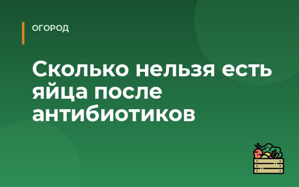 Сколько нельзя есть яйца после антибиотиков