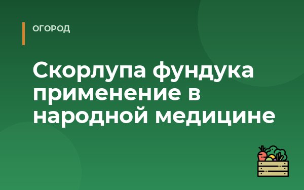 Скорлупа фундука применение в народной медицине