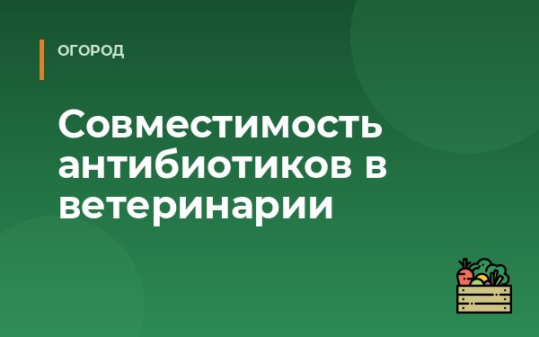 Совместимость антибиотиков в ветеринарии