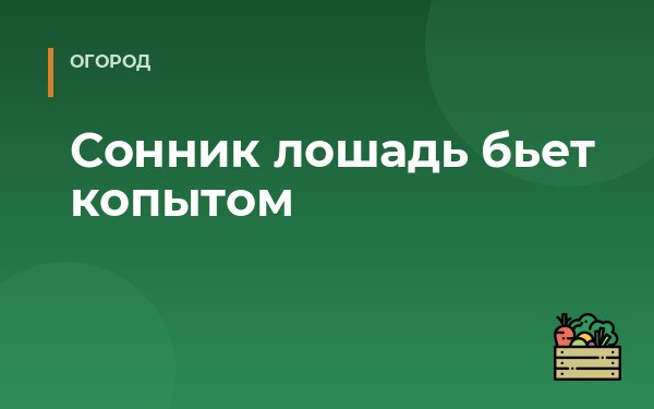 Сонник лошадь бьет копытом