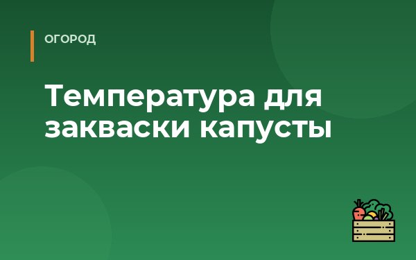 Температура для закваски капусты