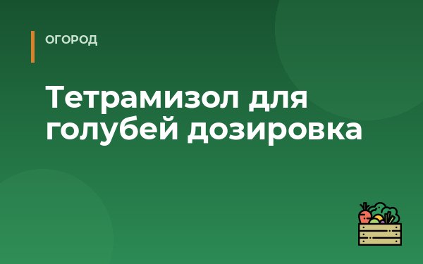 Тетрамизол для голубей дозировка