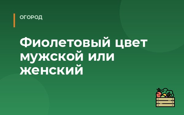 Фиолетовый цвет мужской или женский