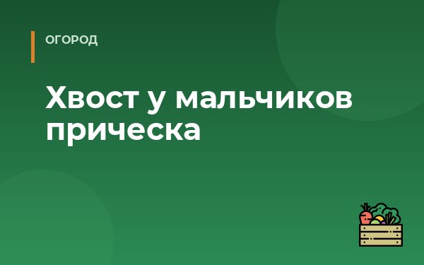 Хвост у мальчиков прическа