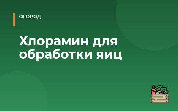 Хлорамин для обработки яиц