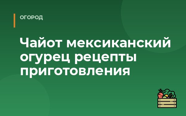 Чайот мексиканский огурец рецепты приготовления
