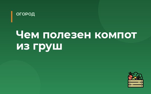 Чем полезен компот из груш