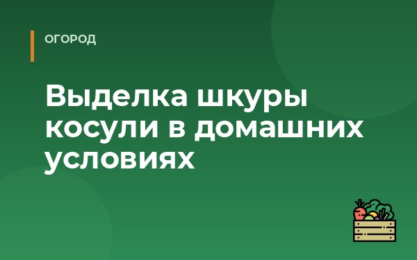 Выделка шкуры косули в домашних условиях