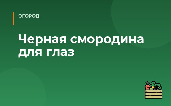 Черная смородина для глаз