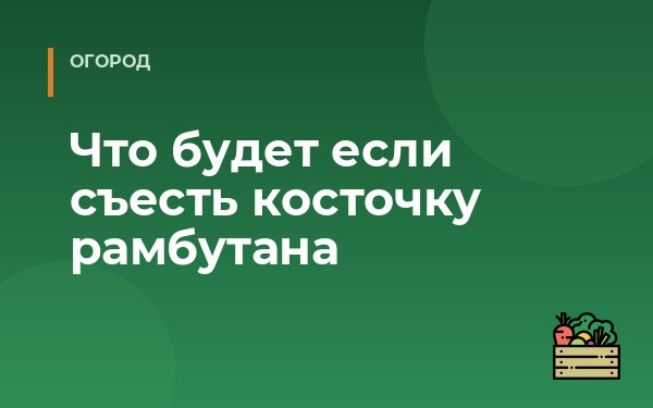 Что будет если съесть косточку рамбутана