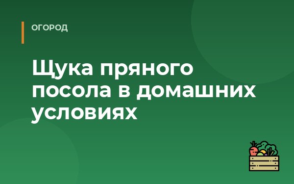 Щука пряного посола в домашних условиях