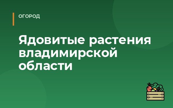 Ядовитые растения владимирской области