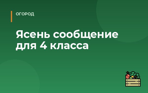 Ясень сообщение для 4 класса