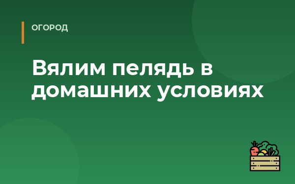 Вялим пелядь в домашних условиях