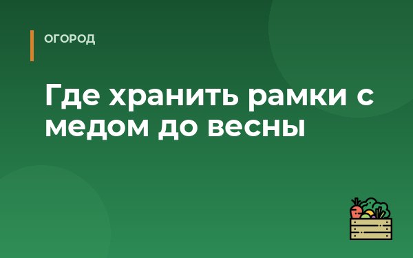 Где хранить рамки с медом до весны