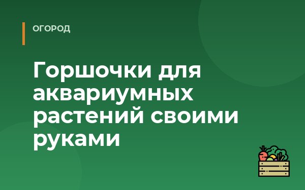 Горшочки для аквариумных растений своими руками