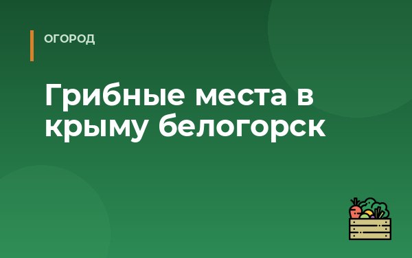 Грибные места в крыму белогорск