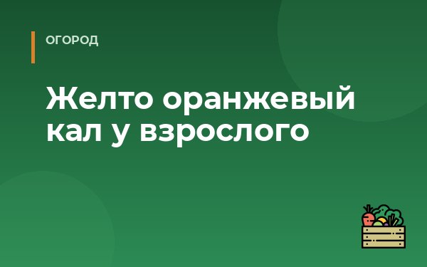 Желто оранжевый кал у взрослого