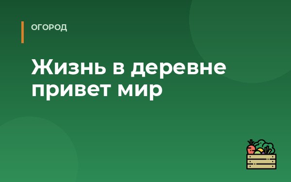 Жизнь в деревне привет мир
