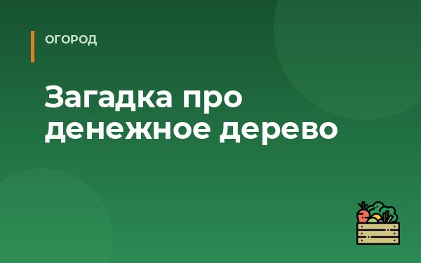 Загадка про денежное дерево