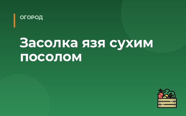 Засолка язя сухим посолом