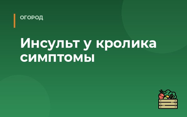 Инсульт у кролика симптомы