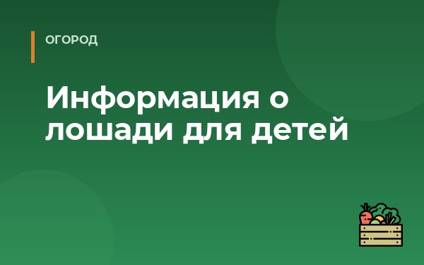 Информация о лошади для детей