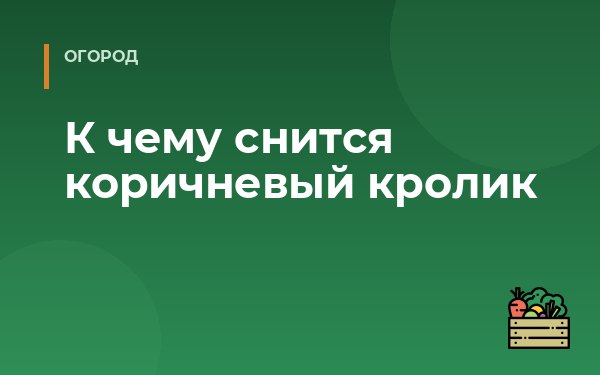 К чему снится коричневый кролик