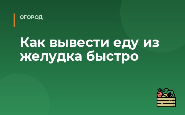 Как вывести еду из желудка быстро