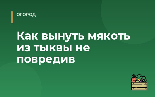 Как вынуть мякоть из тыквы не повредив