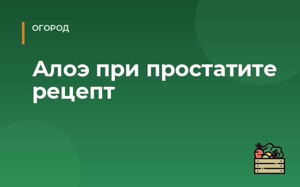 Алоэ при простатите рецепт