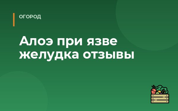 Алоэ при язве желудка отзывы