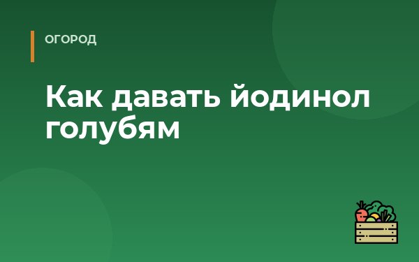 Как давать йодинол голубям