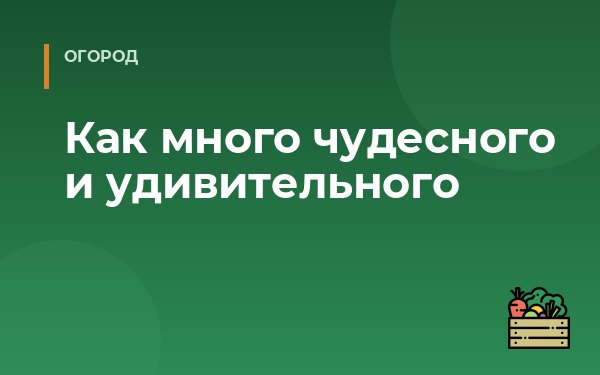 Как много чудесного и удивительного