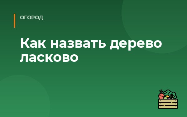 Как назвать дерево ласково