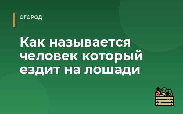 Как называется человек который ездит на лошади
