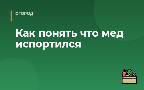 Как понять что мед испортился