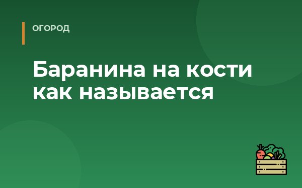 Баранина на кости как называется