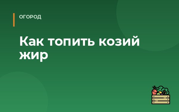 Как топить козий жир