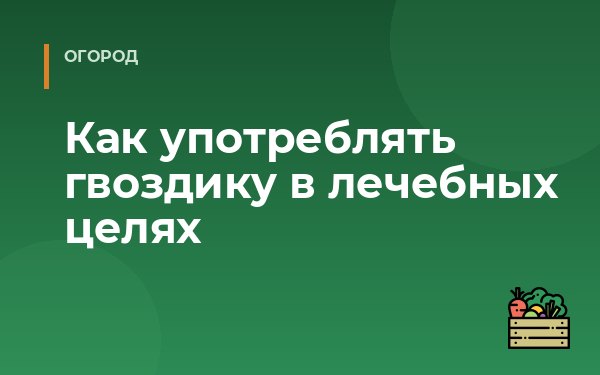 Как употреблять гвоздику в лечебных целях