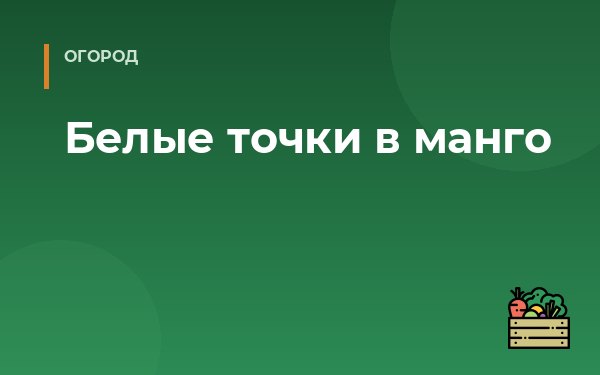 Белые точки в манго