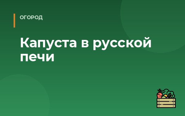 Капуста в русской печи
