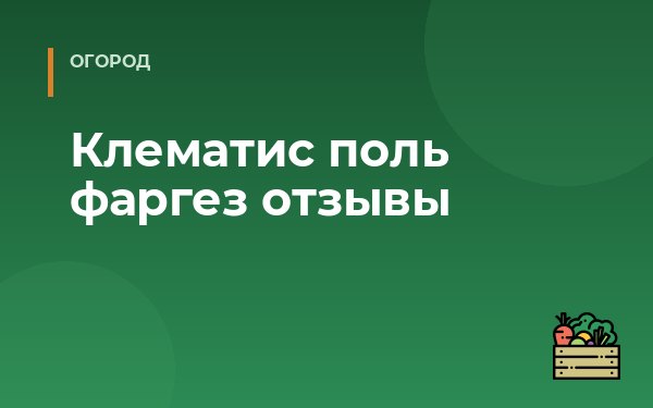 Клематис поль фаргез отзывы