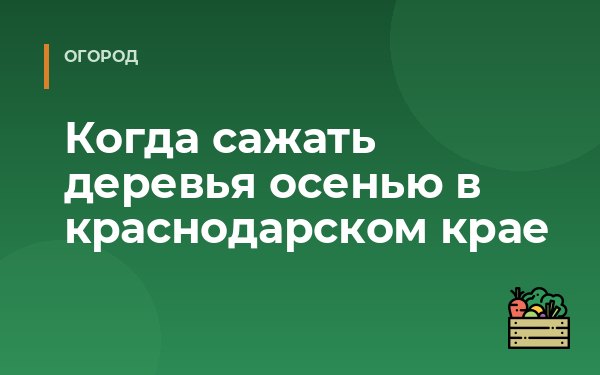 Когда сажать деревья осенью в краснодарском крае