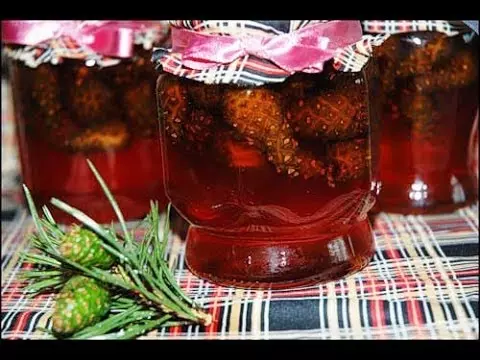 Варенье из шишек от кашля как принимать — изображение 3