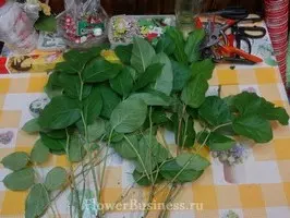 Растения для оформления букетов — изображение 67