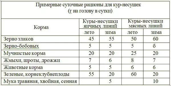 Дед чтп кормление кур — изображение 7
