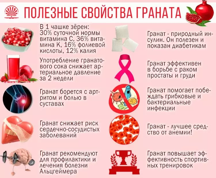 Гранат при густой крови — изображение 9