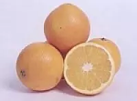 Какие животные едят апельсины